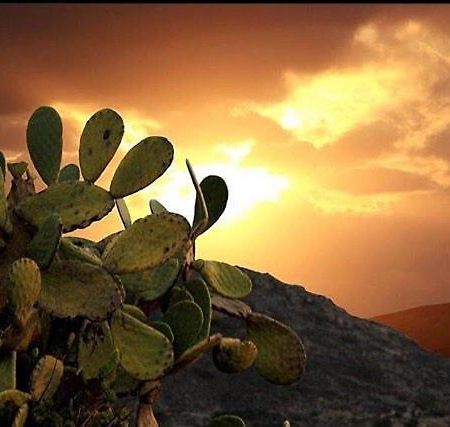 Prickly Pear House Hotel Pláka Mílu Kültér fotó