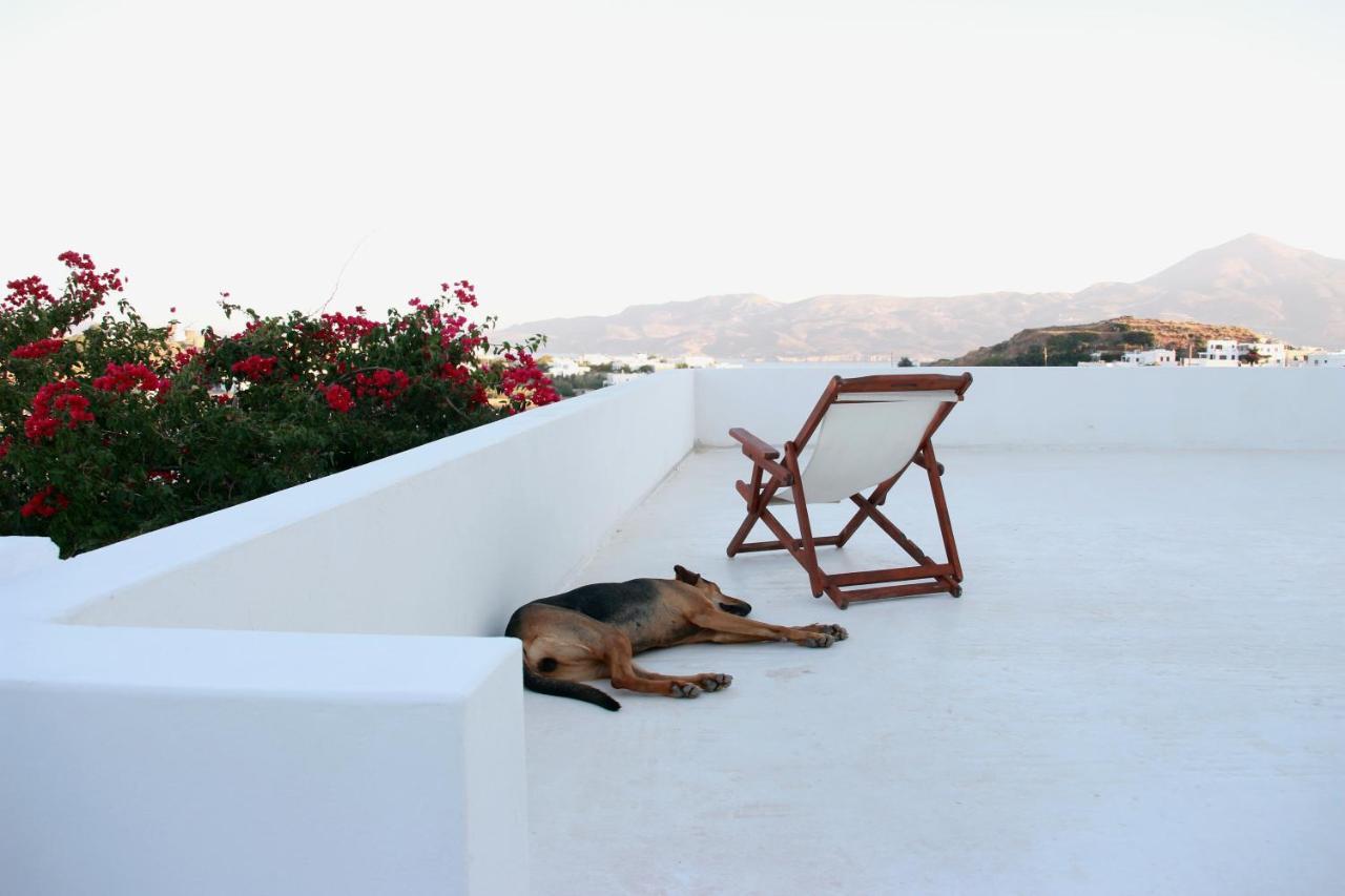 Prickly Pear House Hotel Pláka Mílu Kültér fotó
